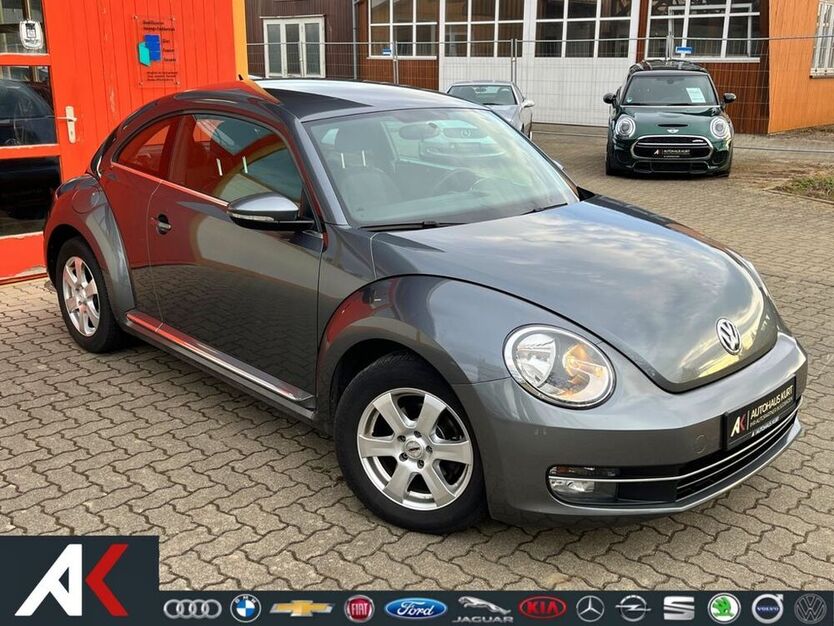 Beetle