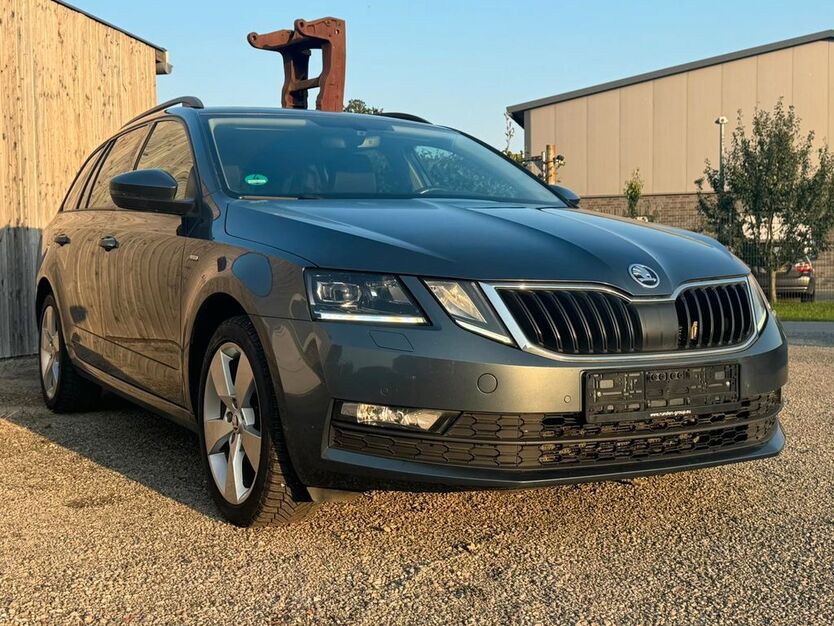 Skoda Octavia 376.280 km 9.300 € Gehrde 49596