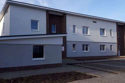 Wohnung Barnstorf Walsen - 2 Zimmer, 56 m&sup2;, 437&euro; | Angebot:24921122