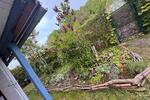 Grundstück Saalfeld (Saale) - 5.500&euro; | Angebot:26517298