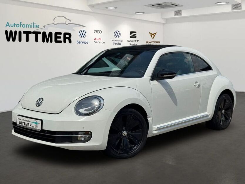 Beetle