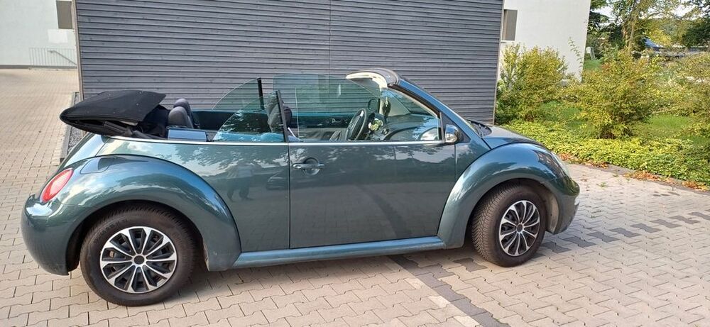 Beetle