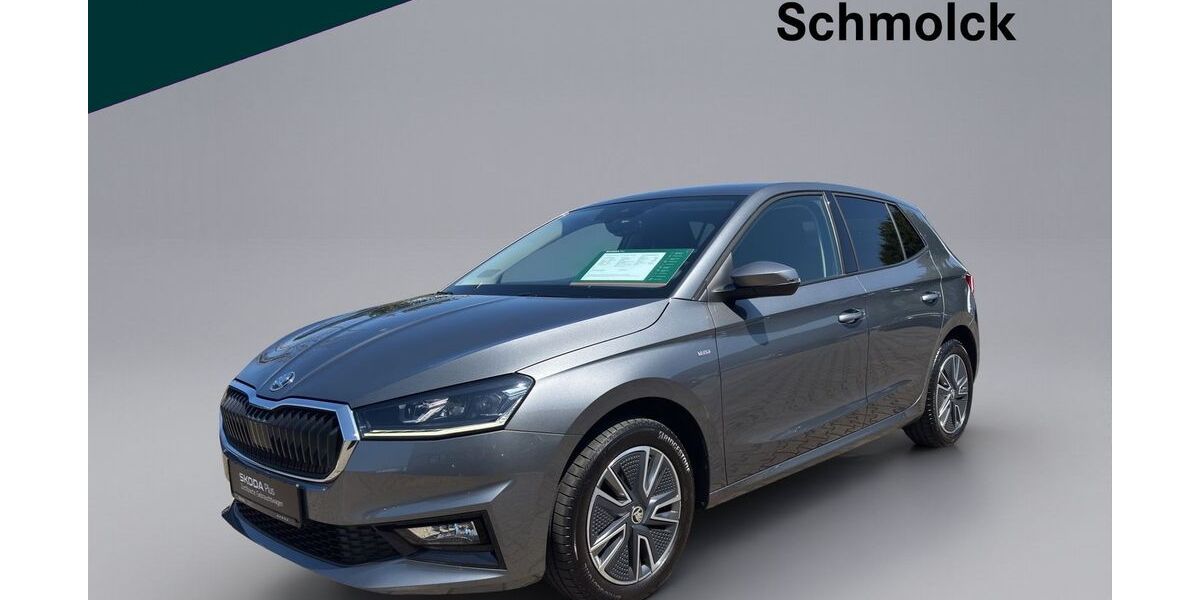 Skoda Fabia 31.000 km 17.790 &euro; Emmendingen 79312
