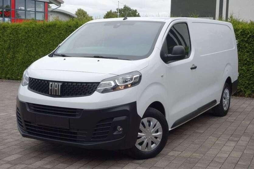 Scudo