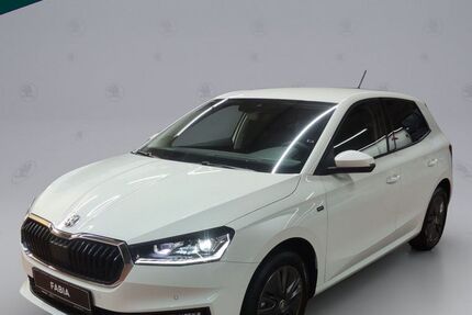 Skoda Fabia 8.000 km 17.890 &euro; Emmendingen 79312