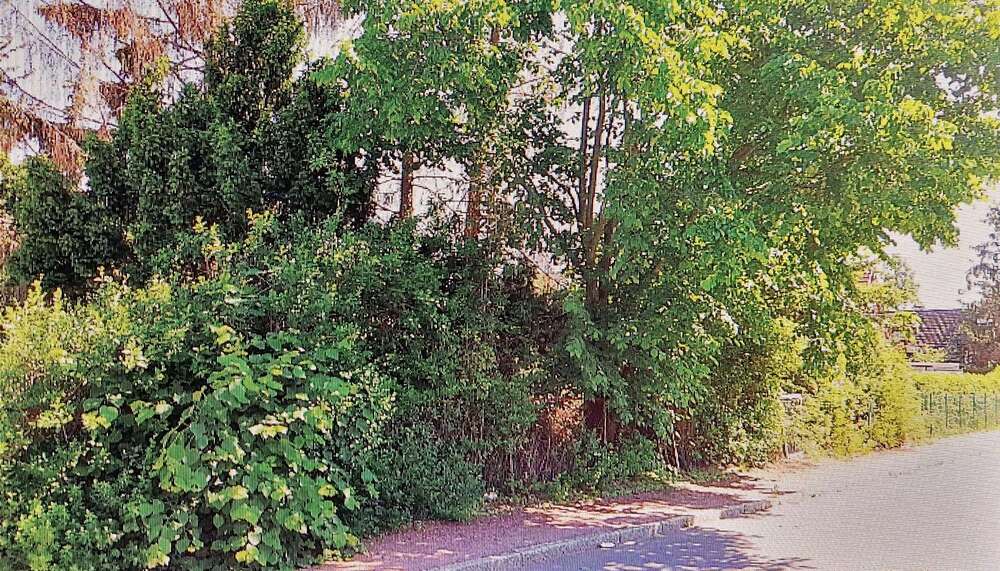 BAUTRÄGERFREIES GRUNDSTÜCK IN HÖNOWBIRKENSTEIN - Grundstück Hoppegarten | Angebot:19837993