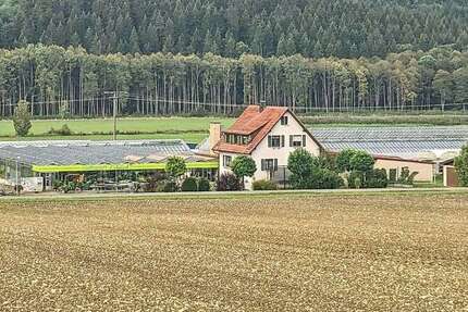 Spezialgewerbe in Dischingen 650.000 € 17667 m² zimmer