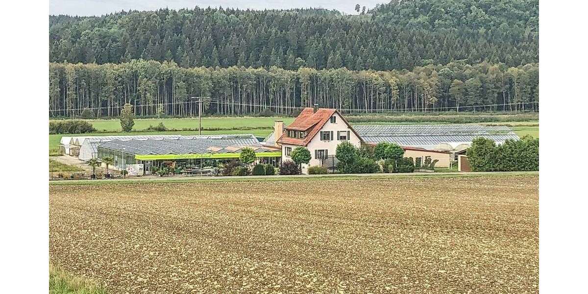 Spezialgewerbe in Dischingen 650.000 € 17667 m² zimmer