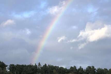 Grundstück Sagast Sagast - 470.000&euro; | Angebot:21333257