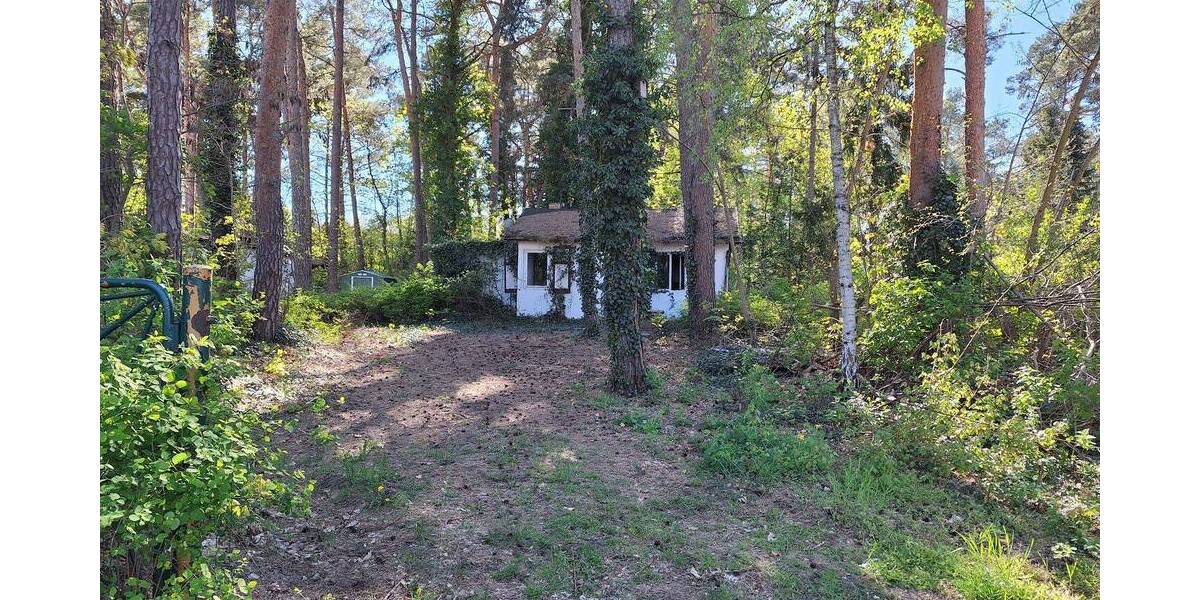 Grundstück Zossen Kallinchen - 335.000&euro; | Angebot:26512556