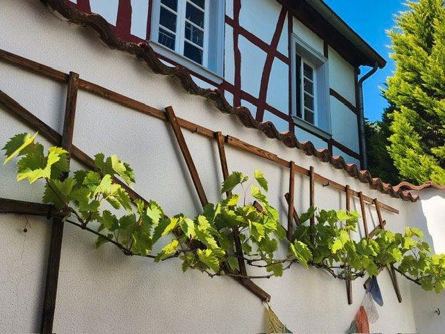 Einfamilienhaus Euskirchen - 3 Zimmer, 93 m&sup2;, 1.200&euro; | Angebot:26163636