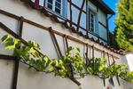 Einfamilienhaus Euskirchen - 3 Zimmer, 93 m&sup2;, 1.200&euro; | Angebot:26163636