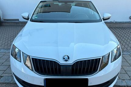 Skoda Octavia 142.000 km 13.199 &euro; Neustadt an der Donau 93333