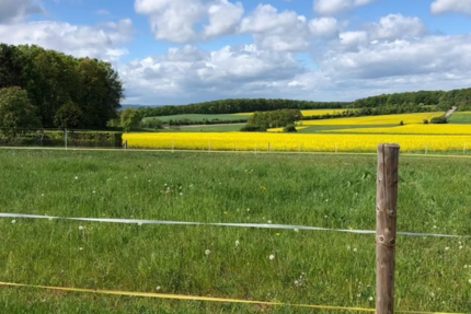 Grundstück zu verkaufen in Mechernich 270.000 € 904 m² zimmer