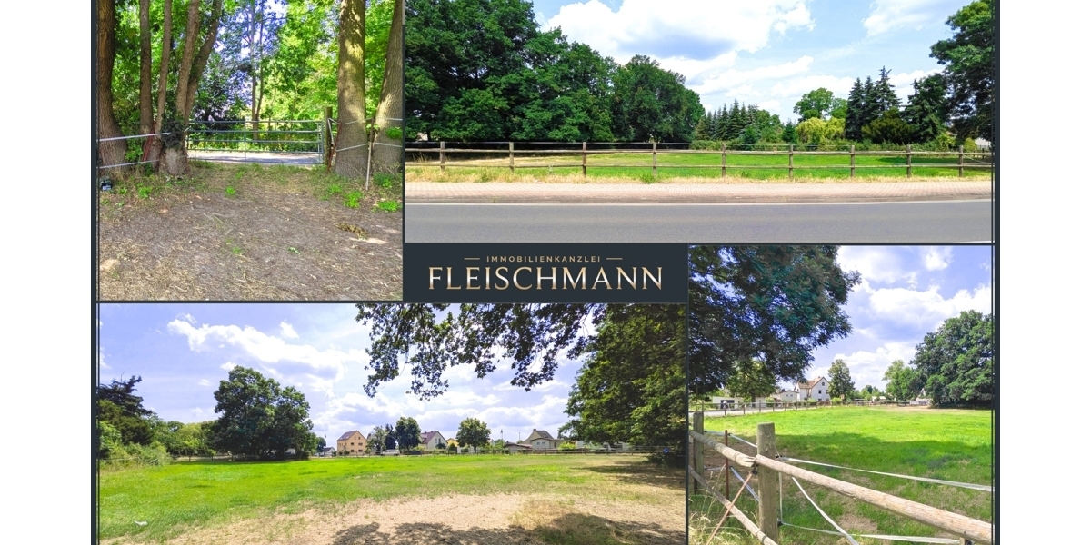 Baugrundstück für bis zu 5 Eigenheime – nur einen Katzensprung von Leipzig! - Grundstück Mockrehna | Angebot:25053886