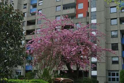 Wohnung Ratingen-West West - 3 Zimmer, 88 m&sup2;, 229.000&euro; | Angebot:26279543