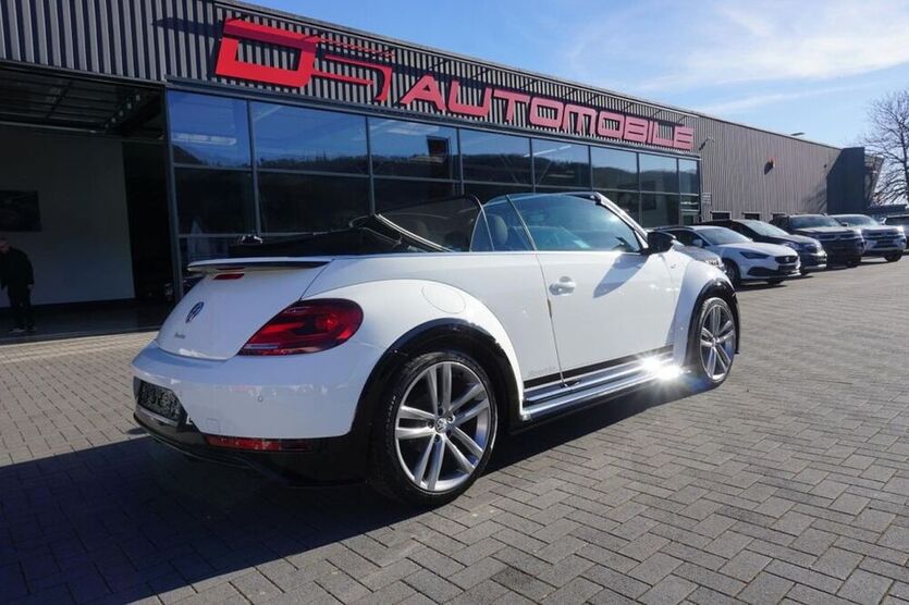Beetle