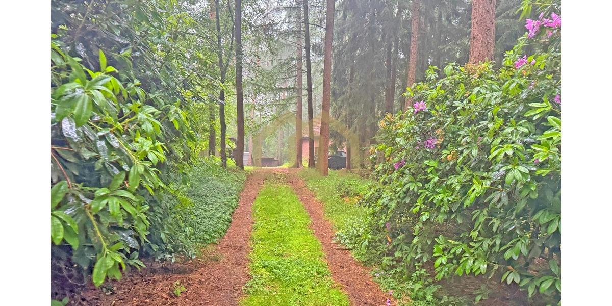 6.503 m² Naturparadies an der Hunte – Wochenendhaus in traumhafter Waldlage - Einfamilienhaus Wildeshausen | Angebot:26801669