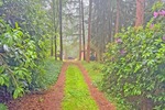 6.503 m² Naturparadies an der Hunte – Wochenendhaus in traumhafter Waldlage - Einfamilienhaus Wildeshausen | Angebot:26801669