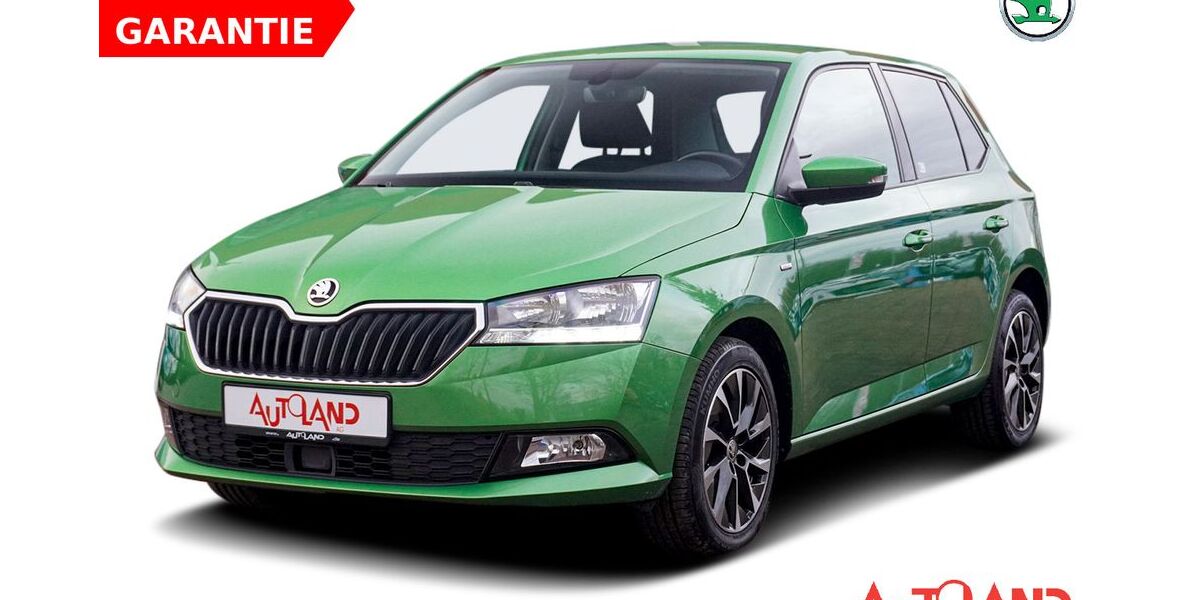 Skoda Fabia 54.195 km 14.950 &euro; Brehna 06796