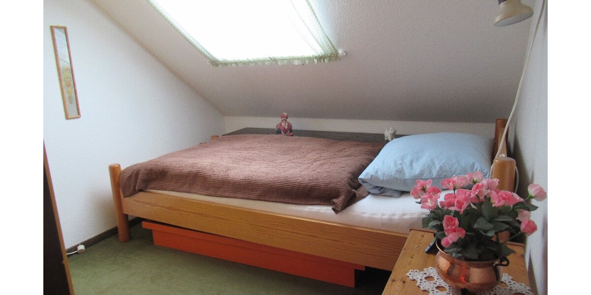 geräumige DG-Wohnung mit traumhaftem Ausblick! - 3- Winterberg | Angebot:26802227