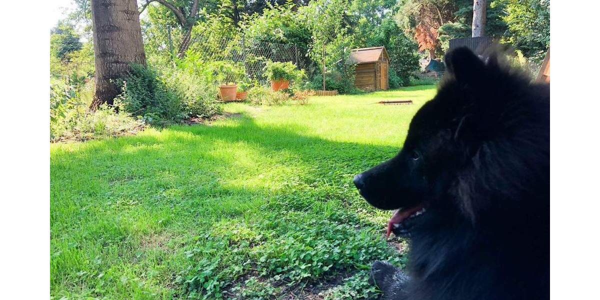 Doppelhaushälfte Düsseldorf Vennhausen - 6 Zimmer, 138 m&sup2;, 649.000&euro; | Angebot:24825693