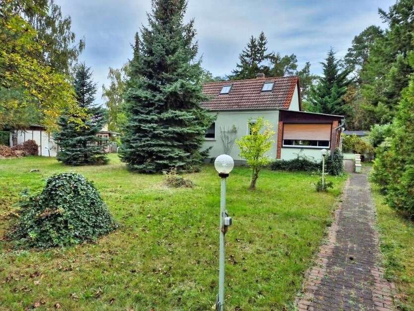 Grundstück zu verkaufen in Bad Düben 310.000 € 1859 m² zimmer