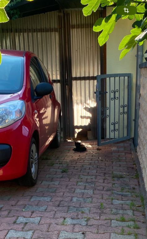 Citroen C1 178.000 km 900 € Dolgesheim 55278