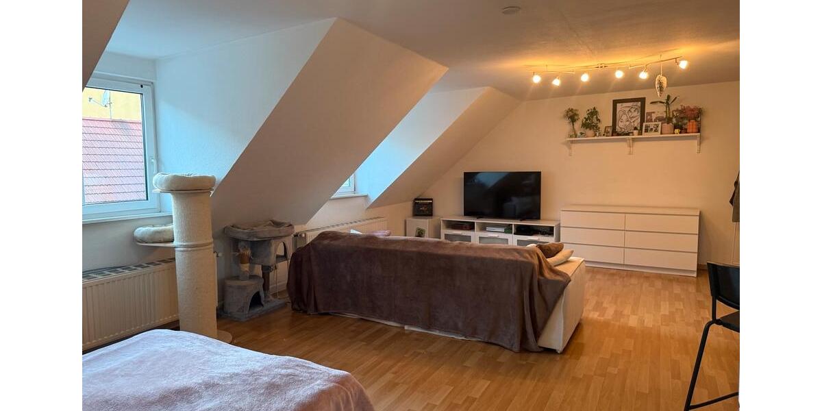 Dachgeschoßwohnung Sangerhausen - 1 Zimmer, 55 m&sup2;, 455&euro; | Angebot:26066356