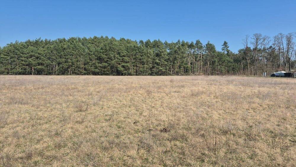 Grundstück Zossen Schöneiche - 72.900&euro; | Angebot:26819953