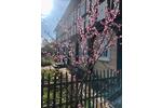 Einfamilienhaus Großschönau - 6 Zimmer, 120 m&sup2;, 149.000&euro; | Angebot:26712867