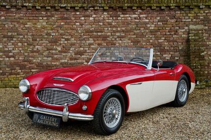 Austin Healey Andere