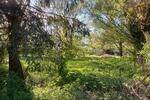 Doppelhaushälfte Plattenburg - 4 Zimmer, 84 m&sup2;, 75.000&euro; | Angebot:26673691