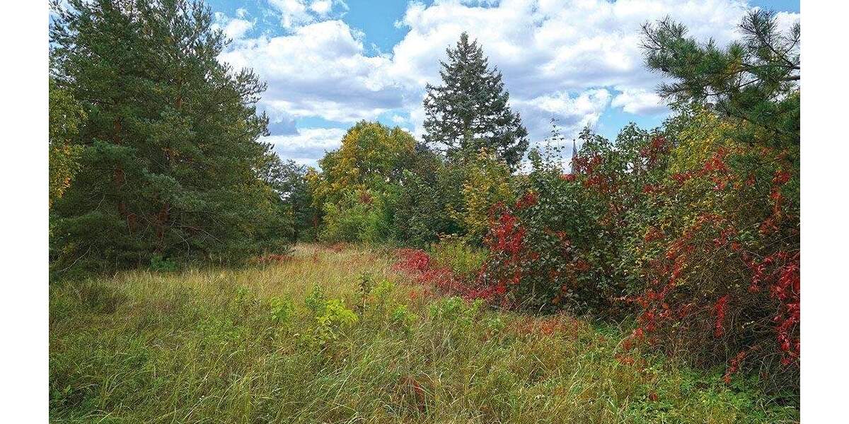 Grundstück Lychen - 35.500&euro; | Angebot:24727146