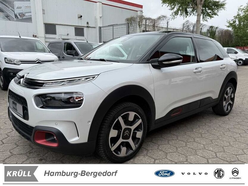 C4 Cactus