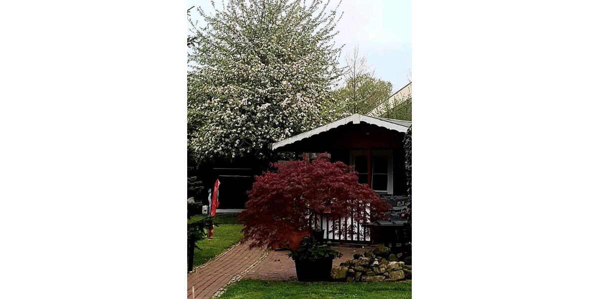 Einfamilienhaus Rhauderfehn - 16 Zimmer, 360 m&sup2;, 399.000&euro; | Angebot:26524652