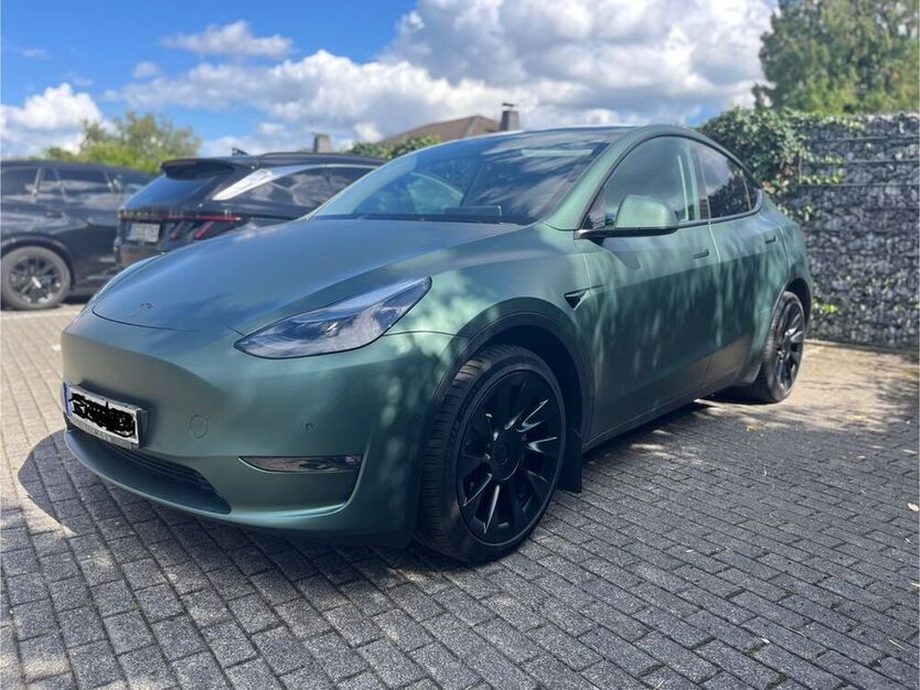 Model Y