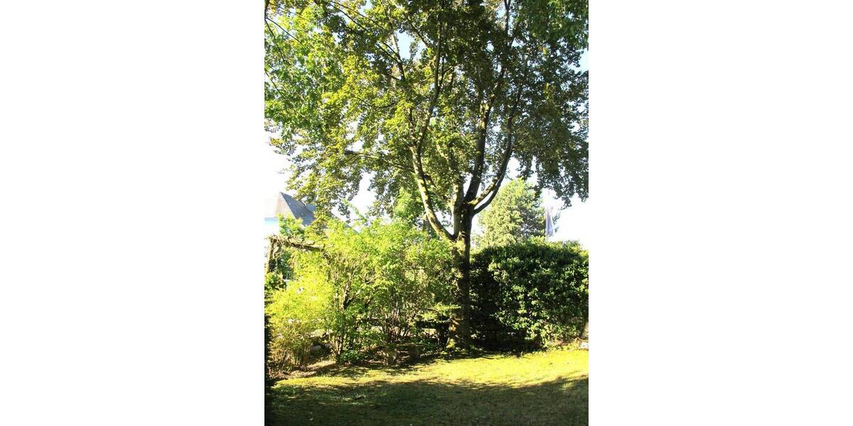 Einfamilienhaus Kriftel - 8 Zimmer, 251 m&sup2;, 1.080.000&euro; | Angebot:25968360