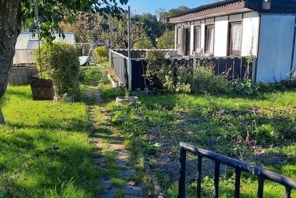 Haus Greifswald Eldena - 2 Zimmer, 24 m&sup2;, 850&euro; | Angebot:26448113