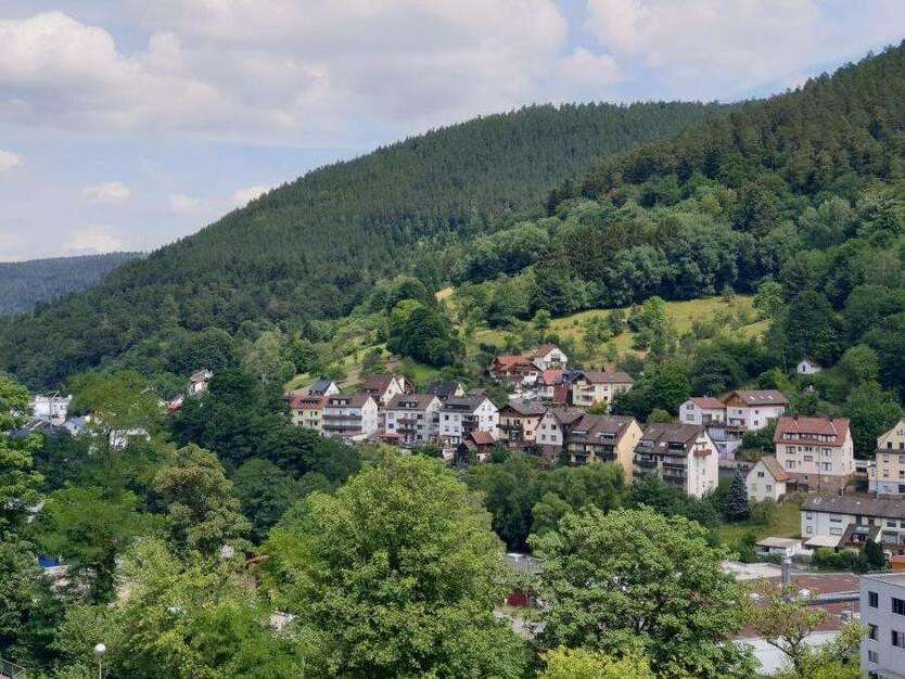 Wohnung zum Mieten in Bad Wildbad 600 € 78 m² 3 zimmer