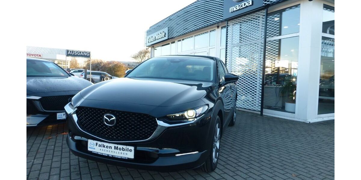 Mazda CX-30 1.500 km 29.990 &euro; Aschersleben 06449