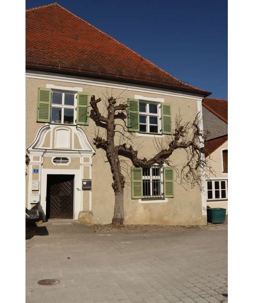 Wohnung zum Mieten in Altmannstein 1.500 € 165 m²