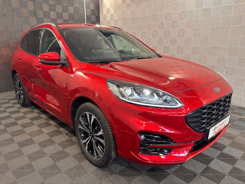 Kuga
