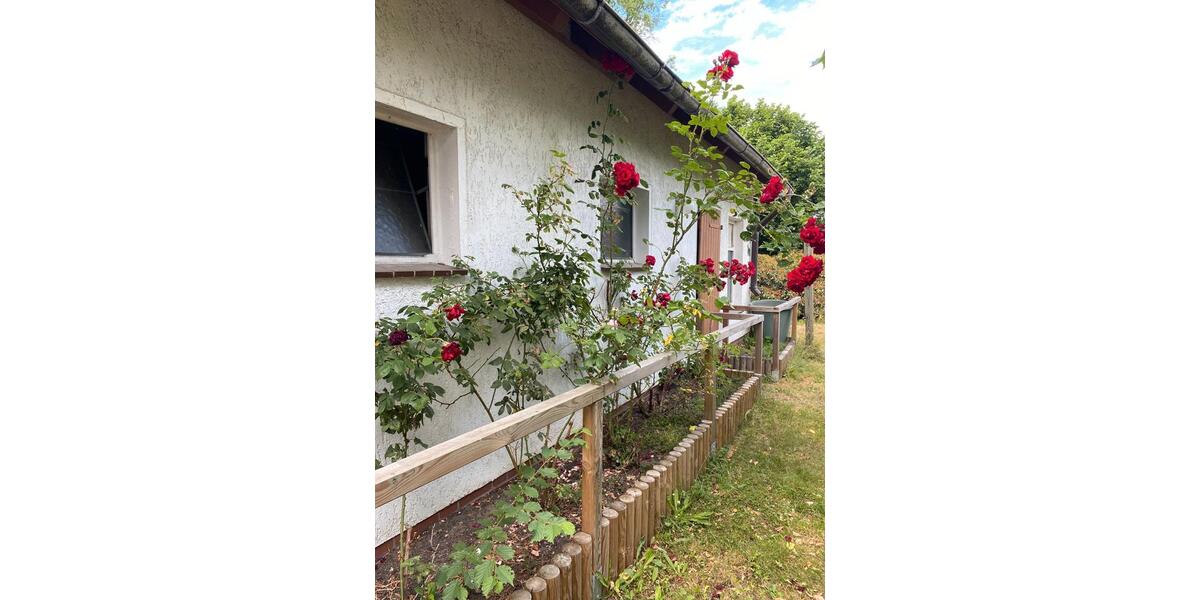 Einfamilienhaus Bergen - 5 Zimmer, 120 m&sup2;, 1.350&euro; | Angebot:26202206