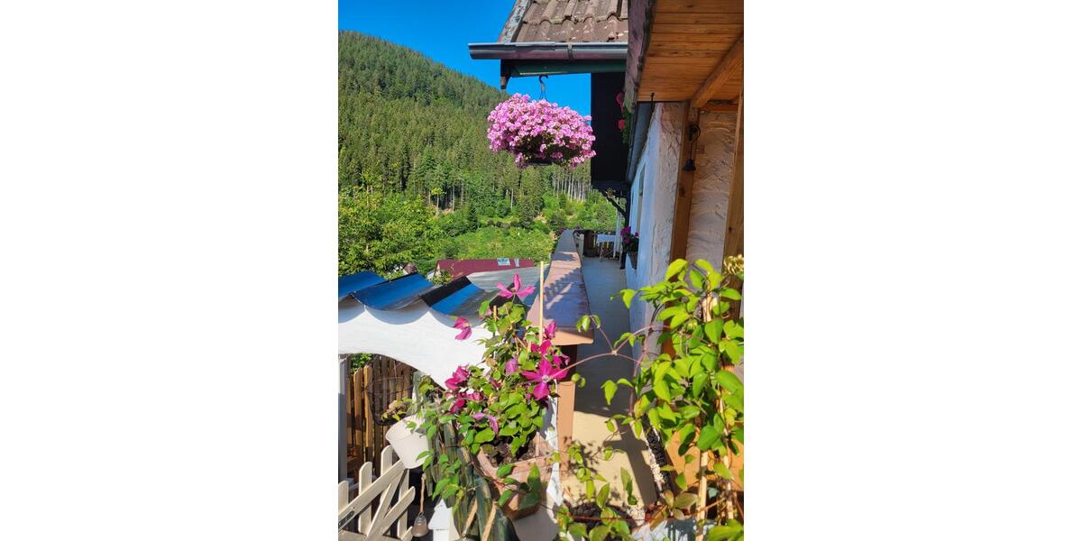 Doppelhaushälfte Baiersbronn - 7 Zimmer, 115 m&sup2;, 339.000&euro; | Angebot:26906854