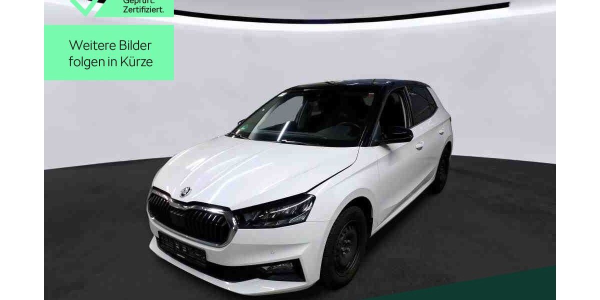 Skoda Fabia 18.100 km 17.449 &euro; Mühlheim 63165