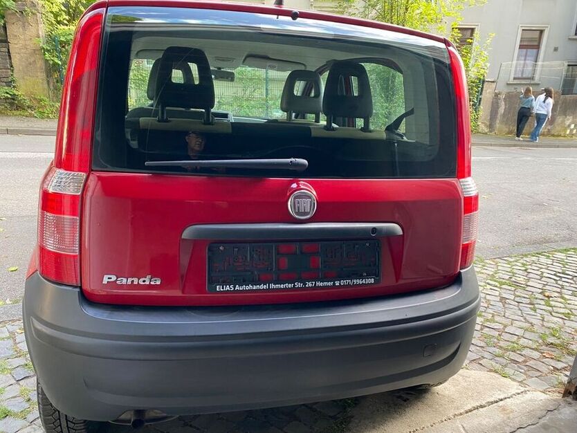 Panda