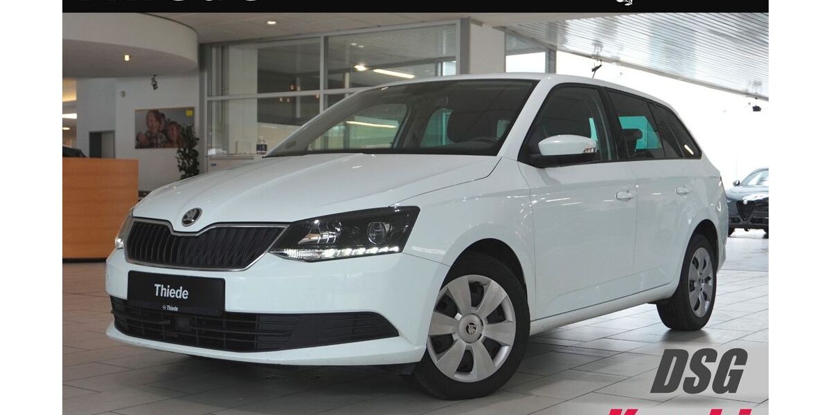 Skoda Fabia 183.650 km 8.950 &euro; Schöningen 38364