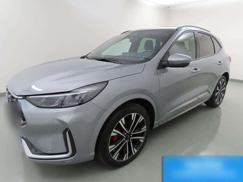 Kuga