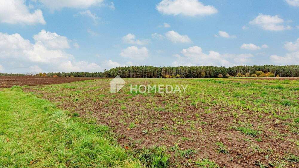 Bauernhaus, Landhaus Abenberg Ebersbach - 4 Zimmer, 300 m&sup2;, 844.000&euro; | Angebot:25708862